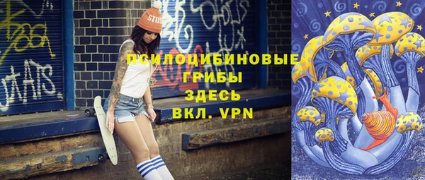 МДПВ Медвежьегорск