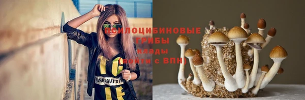 прущий лед Медногорск