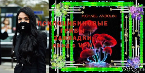 МДПВ Медвежьегорск