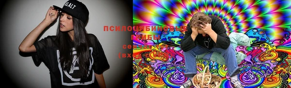 МДПВ Медвежьегорск