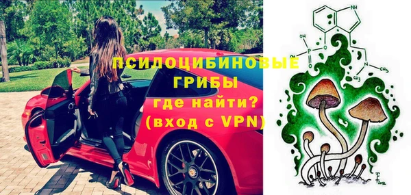 МДПВ Медвежьегорск