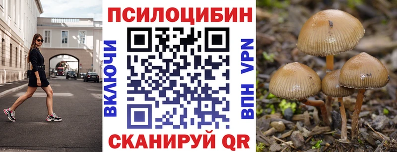 Галлюциногенные грибы Psilocybe  Купить  Кимры 
